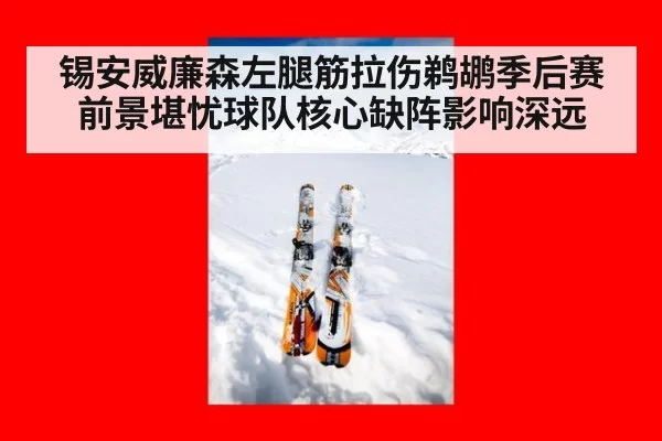 锡安威廉森左腿筋拉伤鹈鹕季后赛前景堪忧球队核心缺阵影响深远